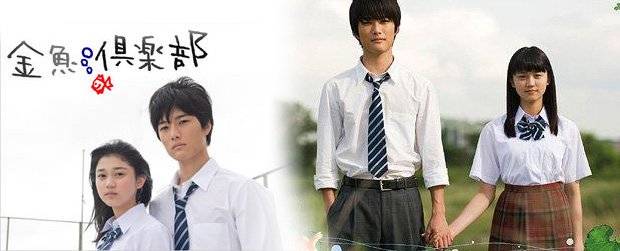 Câu Lạc Bộ Cá Vàng Câu Lạc Bộ Cá Vàng