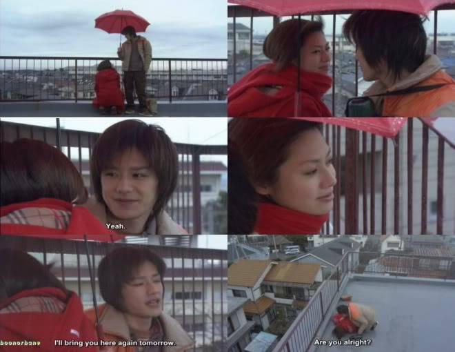 Dâu Tây Trên Bánh Kem Dâu Tây Trên Bánh Kem