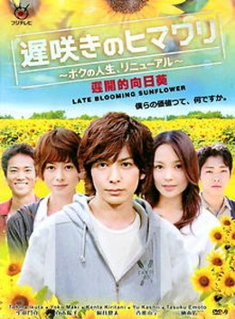 Hướng Dương Nở Muộn - Cuộc Đời Tôi Đổi Mới