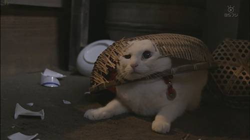 Neko Zamurai 2 Neko Zamurai 2