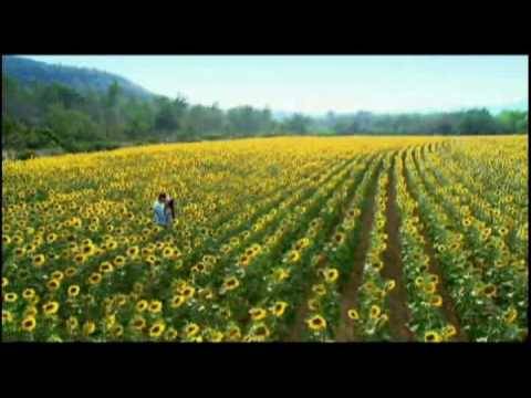 Tân Một Thoáng Mộng Mơ Tân Một Thoáng Mộng Mơ