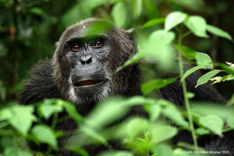 Hành Trình Xanh Hành Trình Xanh