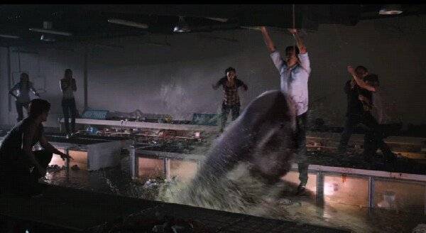 Bẫy Cá Mập Bẫy Cá Mập