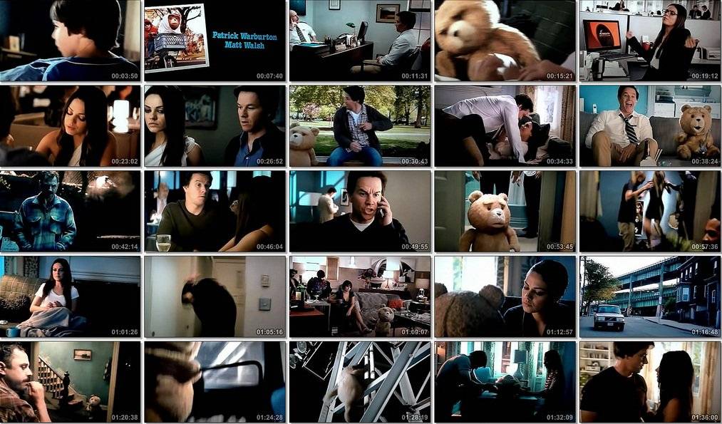 Gấu Siêu Bựa 1 Gấu Siêu Bựa 1