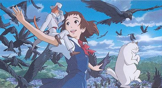 Sự Biết Ơn Của Bầy Mèo Sự Biết Ơn Của Bầy Mèo