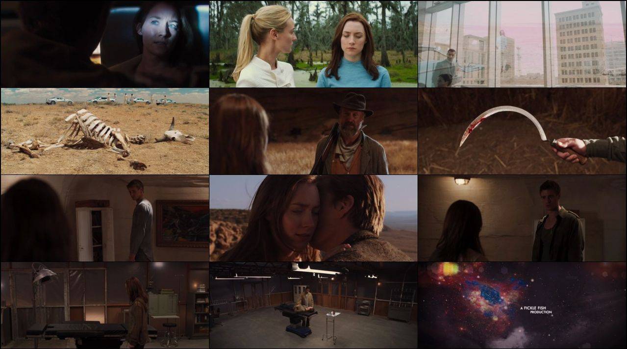 Vật Chủ Vật Chủ