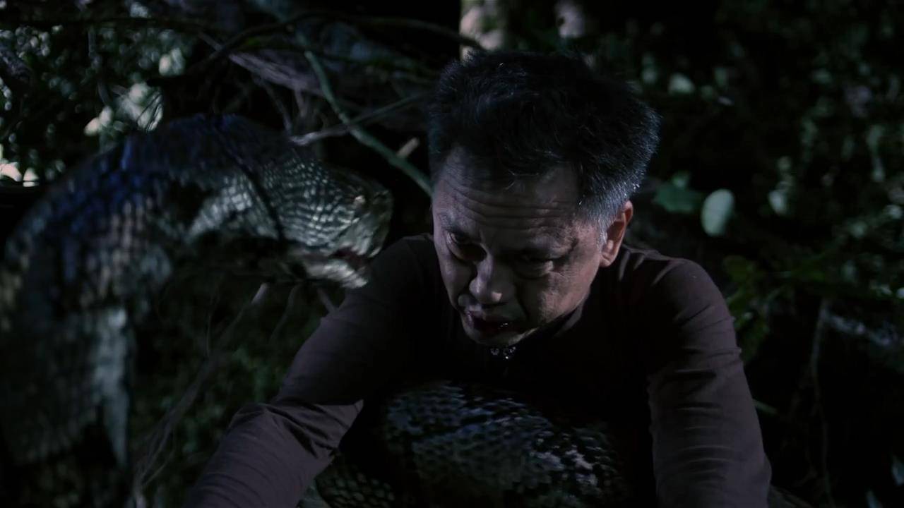 Rắn Khổng Lồ Rắn Khổng Lồ