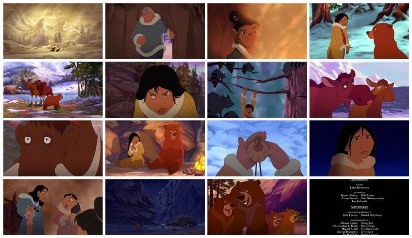 Anh Em Nhà Gấu Anh Em Nhà Gấu