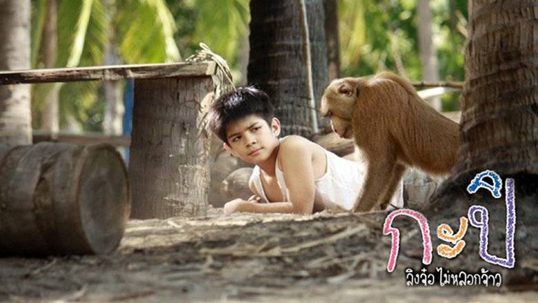 Chú Khỉ Kapi Chú Khỉ Kapi