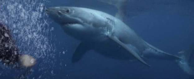 Rặng Đá Ngầm Rặng Đá Ngầm