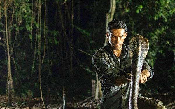 Ninja Báo Thù Ninja Báo Thù