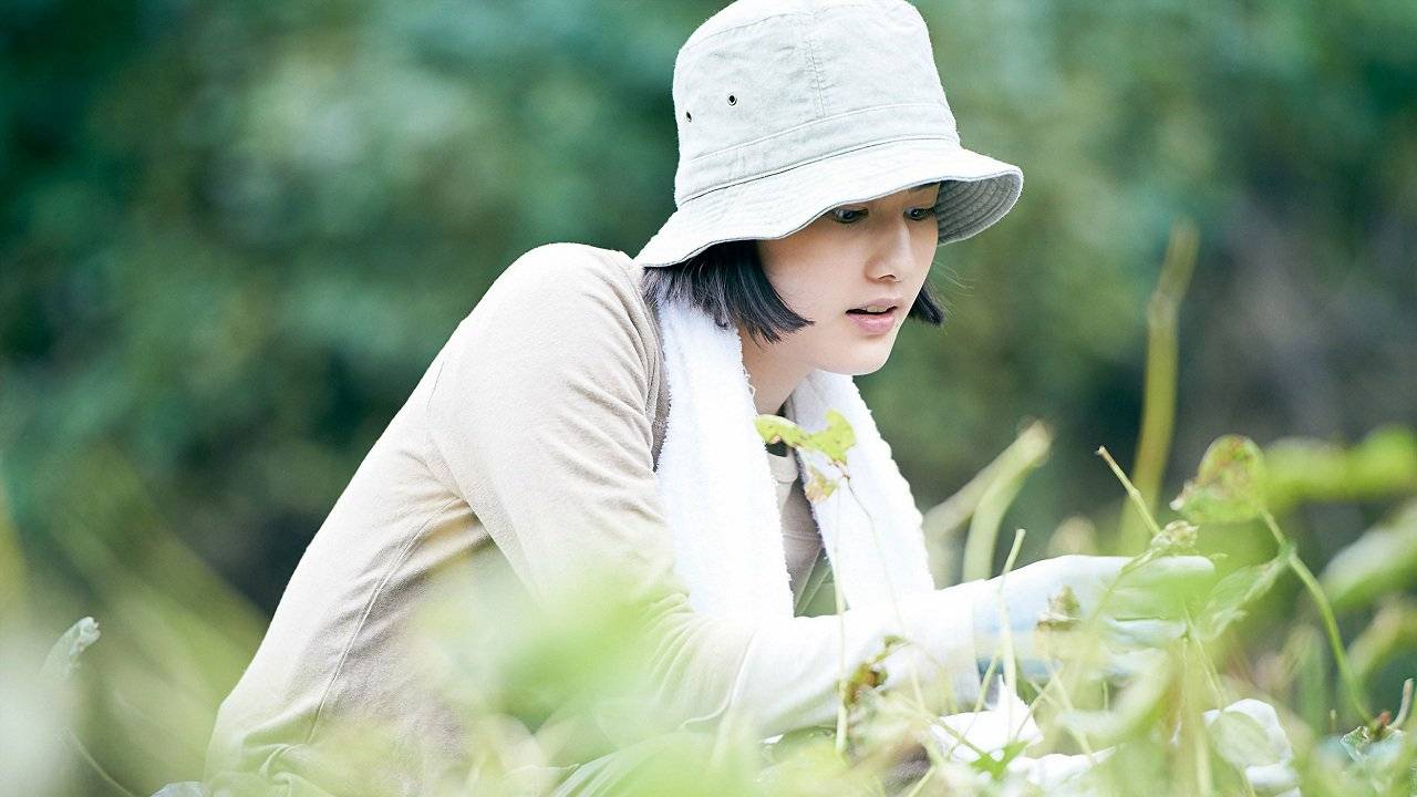 Khu Rừng Nhỏ: Hạ Thu Khu Rừng Nhỏ: Hạ Thu