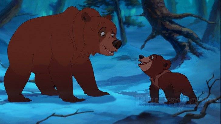 Anh Em Nhà Gấu 2 Anh Em Nhà Gấu 2