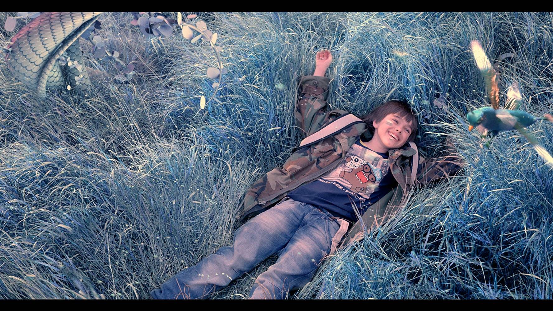 Cánh Cửa Nhiệm Màu Cánh Cửa Nhiệm Màu