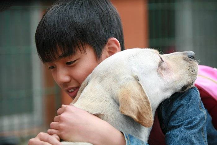 Chú Chó Tuyệt Vời 1 Chú Chó Tuyệt Vời 1