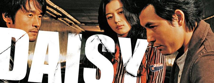 Hoa Cúc Dại Hoa Cúc Dại