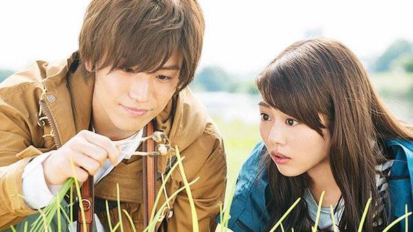 Tình Yêu Định Mệnh Chợt Đến Tình Yêu Định Mệnh Chợt Đến