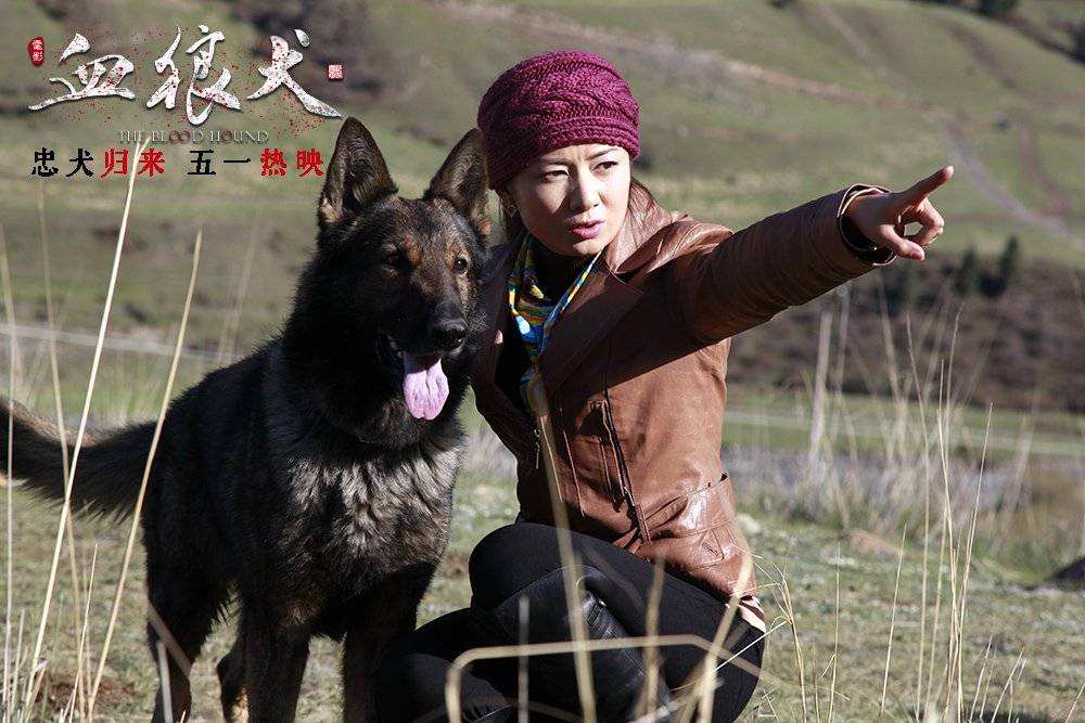 Chú Chó Anh Dũng Chú Chó Anh Dũng