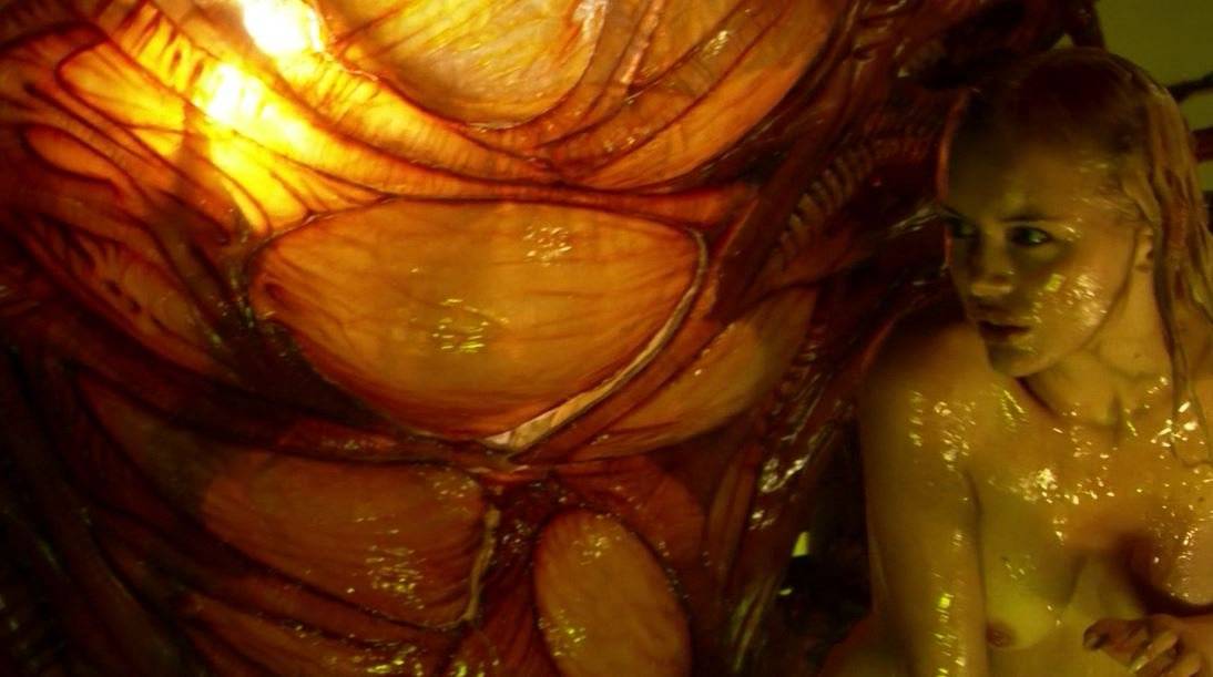 Vật Chủ 4 Vật Chủ 4