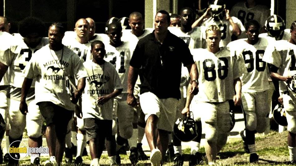 Đội Bóng Bầu Dục Đội Bóng Bầu Dục