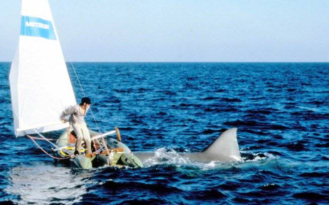 Hàm Cá Mập Phần 2 Hàm Cá Mập Phần 2