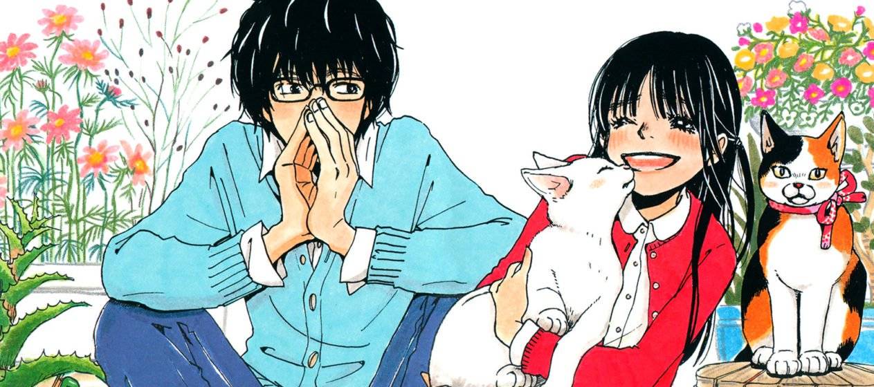 Kỳ Thủ Shougi Kỳ Thủ Shougi