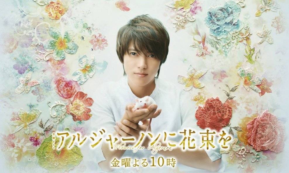 Hoa Trên Mộ Algernon Hoa Trên Mộ Algernon