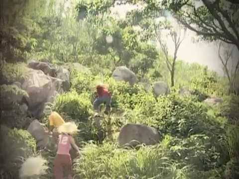 Kính Vạn Bông Kính Vạn Bông