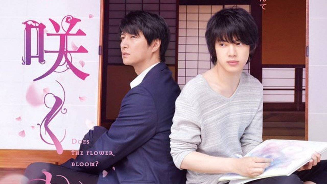 Hoa Liệu Có Nở? Hoa Liệu Có Nở?