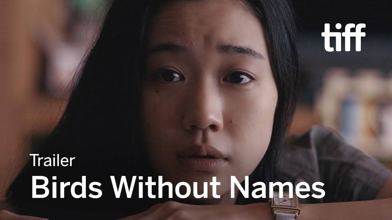 Loài Chim Vô Danh Loài Chim Vô Danh