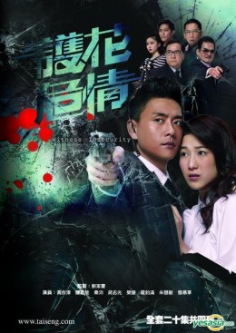 Bảo Vệ Nhân Chứng