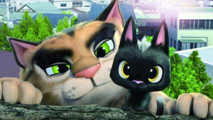 Chú Mèo Đi Lạc Chú Mèo Đi Lạc