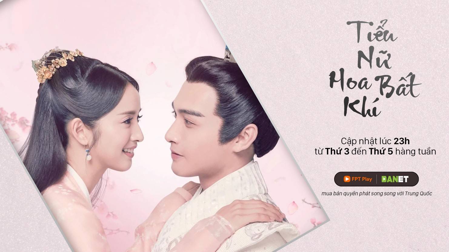 Tiểu Nữ Hoa Bất Khí Tiểu Nữ Hoa Bất Khí