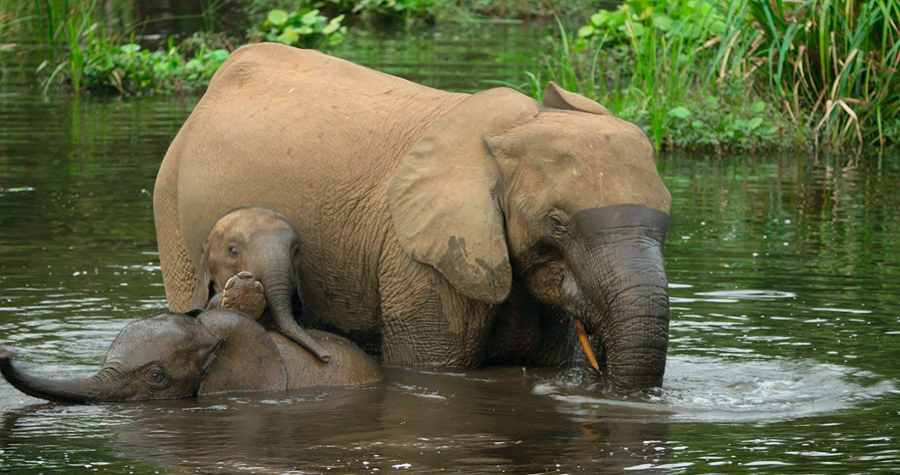 Hành Tinh Của Chúng Ta Hành Tinh Của Chúng Ta