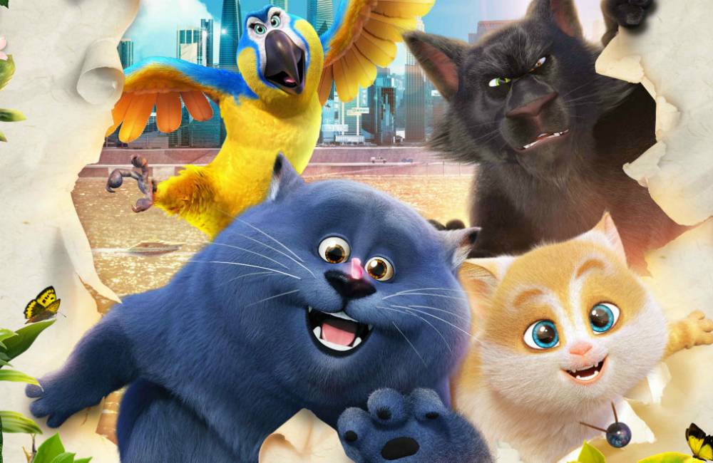 Mèo Mập Đi Phượt Mèo Mập Đi Phượt