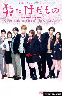 Hoa và Quái Vật (Phần 2)