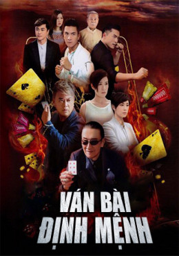 Ván Bài Định Mệnh