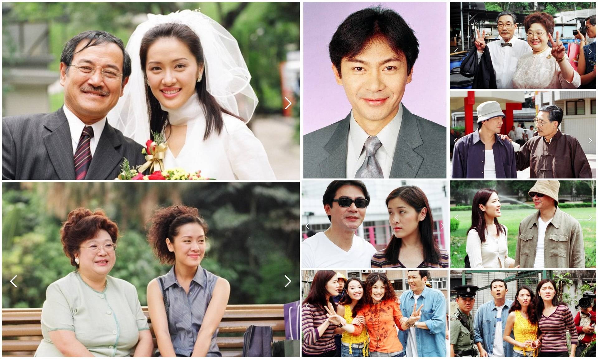 Tình Đã Vội Bay Tình Đã Vội Bay