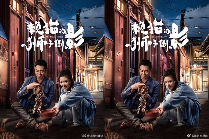 Cái Bóng Sư Tử Của Mèo Lười Cái Bóng Sư Tử Của Mèo Lười