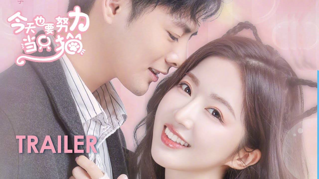 Bạn Gái Tôi Là Một Chú Mèo Bạn Gái Tôi Là Một Chú Mèo