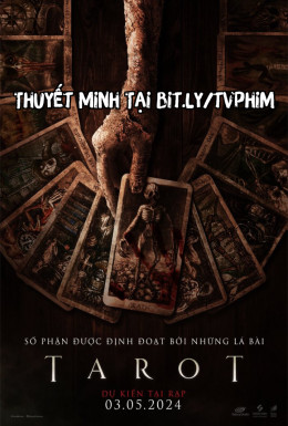 Lời Nguyền Bài Tarot