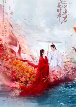 Mùa Hoa Rơi Gặp Lại Chàng