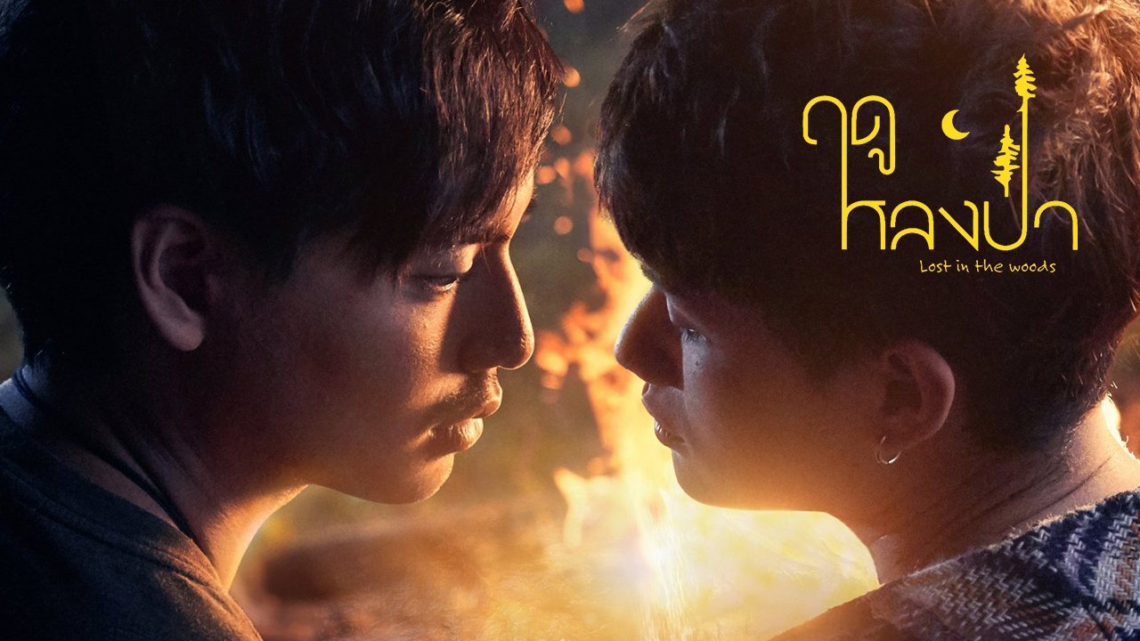 Mùa Lạc Trong Rừng Mùa Lạc Trong Rừng