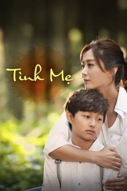 Tình Mẹ